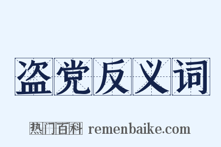 盗党反义词是什么意思的图片